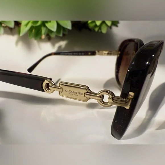 COACH HC8164 Dark Tortoise sunglasses from Japan (L953) with branded hard case